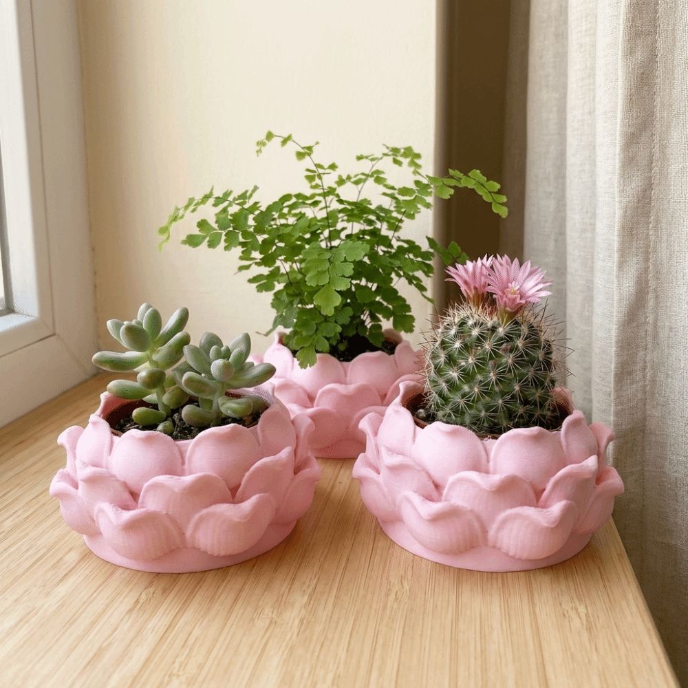 Lotus Shaped Succulent Plant P - đánh giá và giá Snake Plant Ceramic