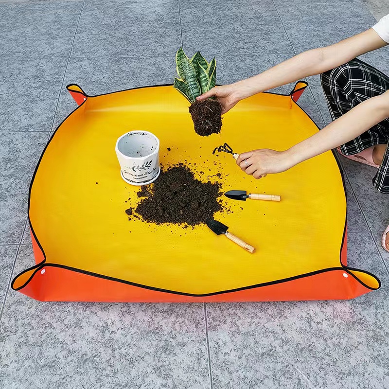 Thickened Waterproof Mats Gard - đánh giá và giá Snake Plant Ceramic
