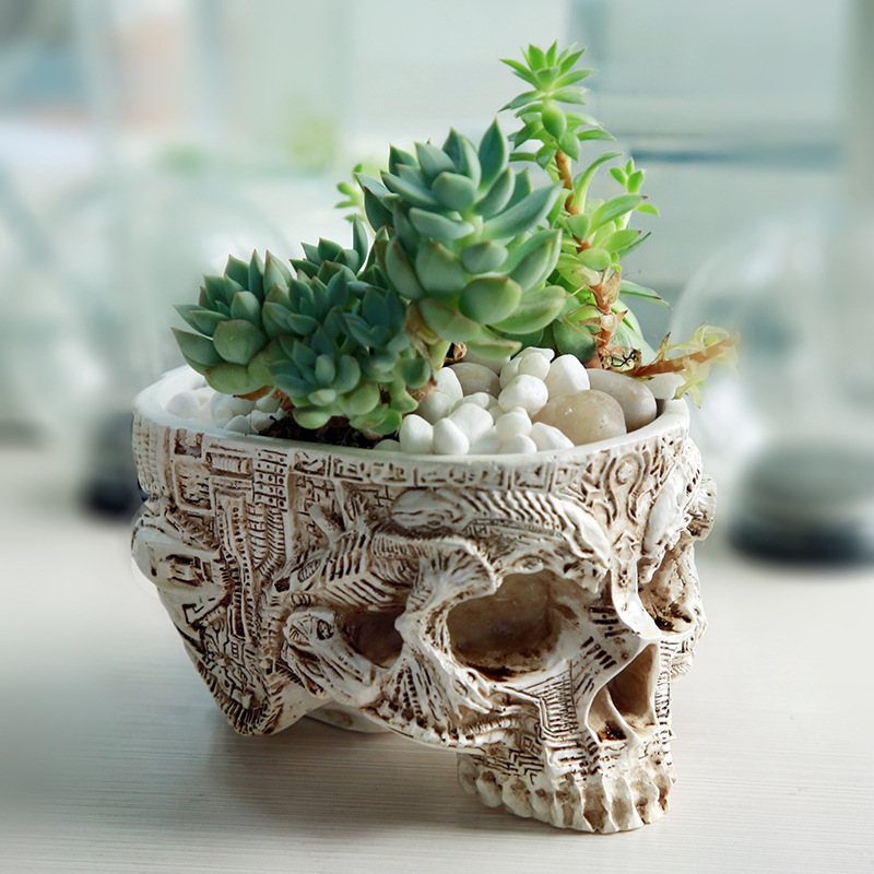 Halloween Skull Flower Pot Got - đánh giá và giá Snake Plant Ceramic