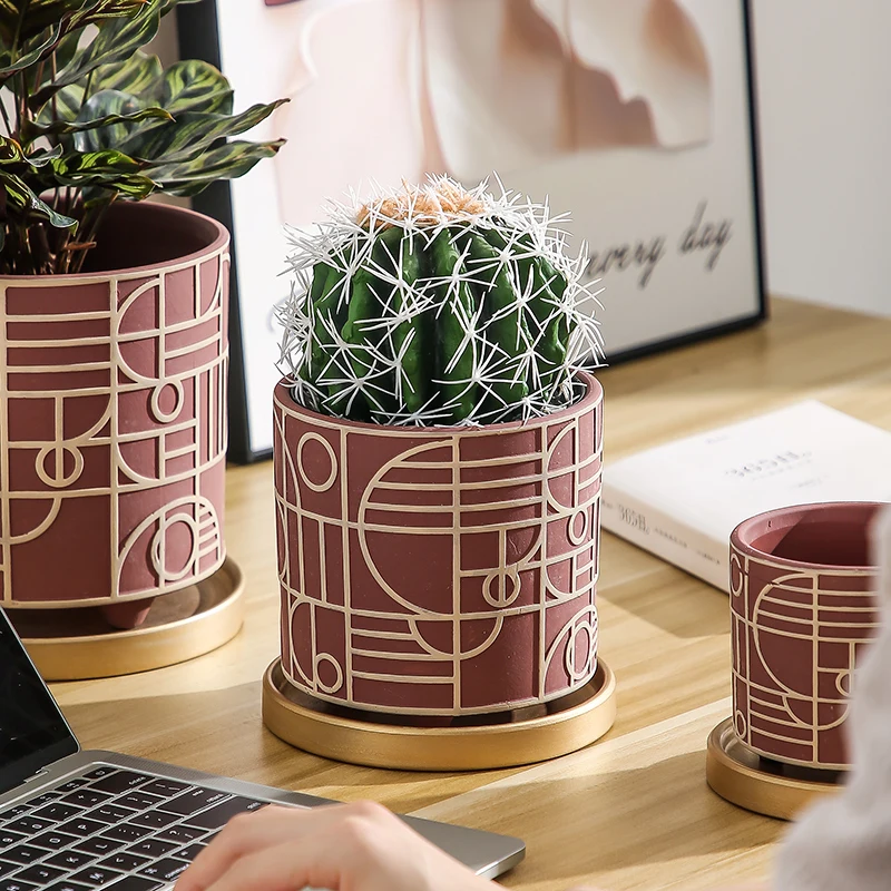Simple Cylindrical Ceramic Flo - đánh giá và giá Snake Plant Ceramic